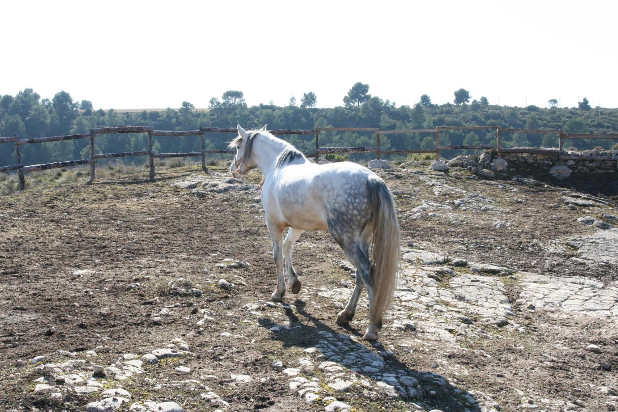 La Posada Del Hidalgo De Alarcón Exteriör bild